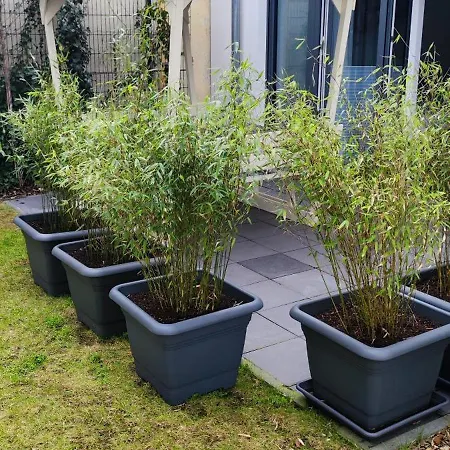 Apartment.abel-misburg Apartamento Hanôver